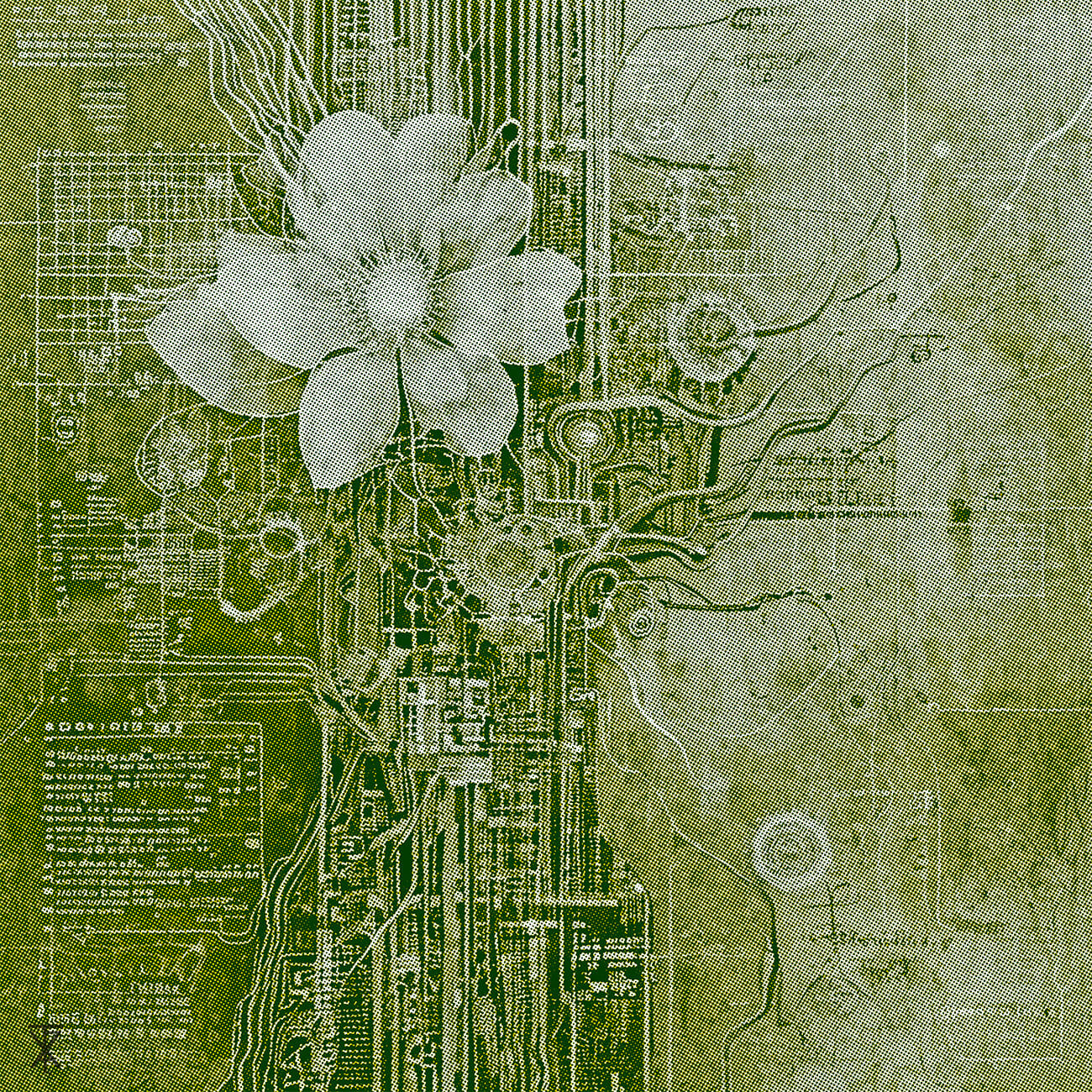 Conditions To Bloom In The Ashes